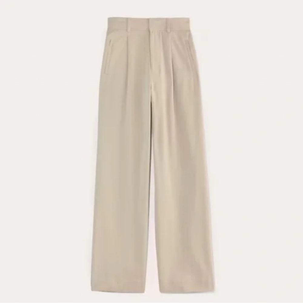 Everlane The Draper Pleated Pant in Buttersmooth - Picture 2 of 5
